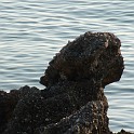 DSCN8970