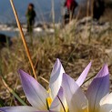 DSCN9002