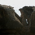 DSCN9006