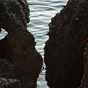 DSCN9007