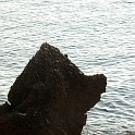 DSCN9015