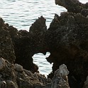 DSCN9017