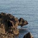 DSCN9018