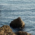 DSCN9020