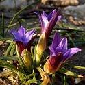 DSCN9027