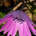 DSCN9039