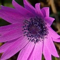 DSCN9040