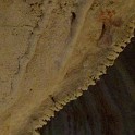 DSCN9065