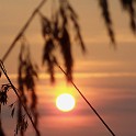 DSCN9107