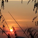 DSCN9108