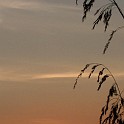 DSCN9109