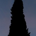 DSCN9129